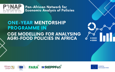 One-year Mentorship Programme in CGE Modelling for Analysing Agri-food Policies in Africa