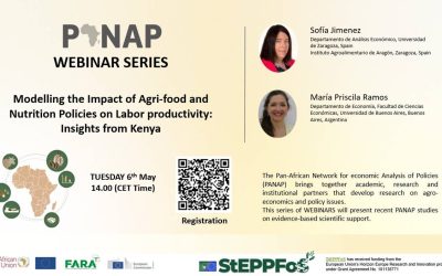Webinar: Modelling the Impact of Agri-food and Nutrition Policies on Labor Productivity – Insights from Kenya.