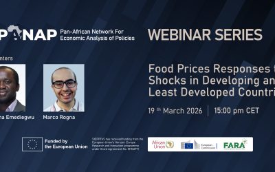Webinar: Food Prices Responses to Shocks in Developing and Least Developed Countries