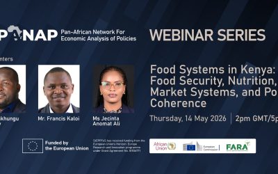 Webinar: Food Systems in Kenya: Food Security, Nutrition, Market Systems, and Policy Coherence