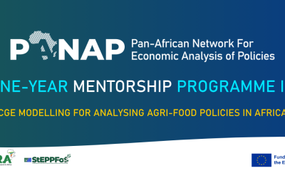 Call for PANAP one-year mentorship programme in CGE modelling for analysing agrifood policies in Africa